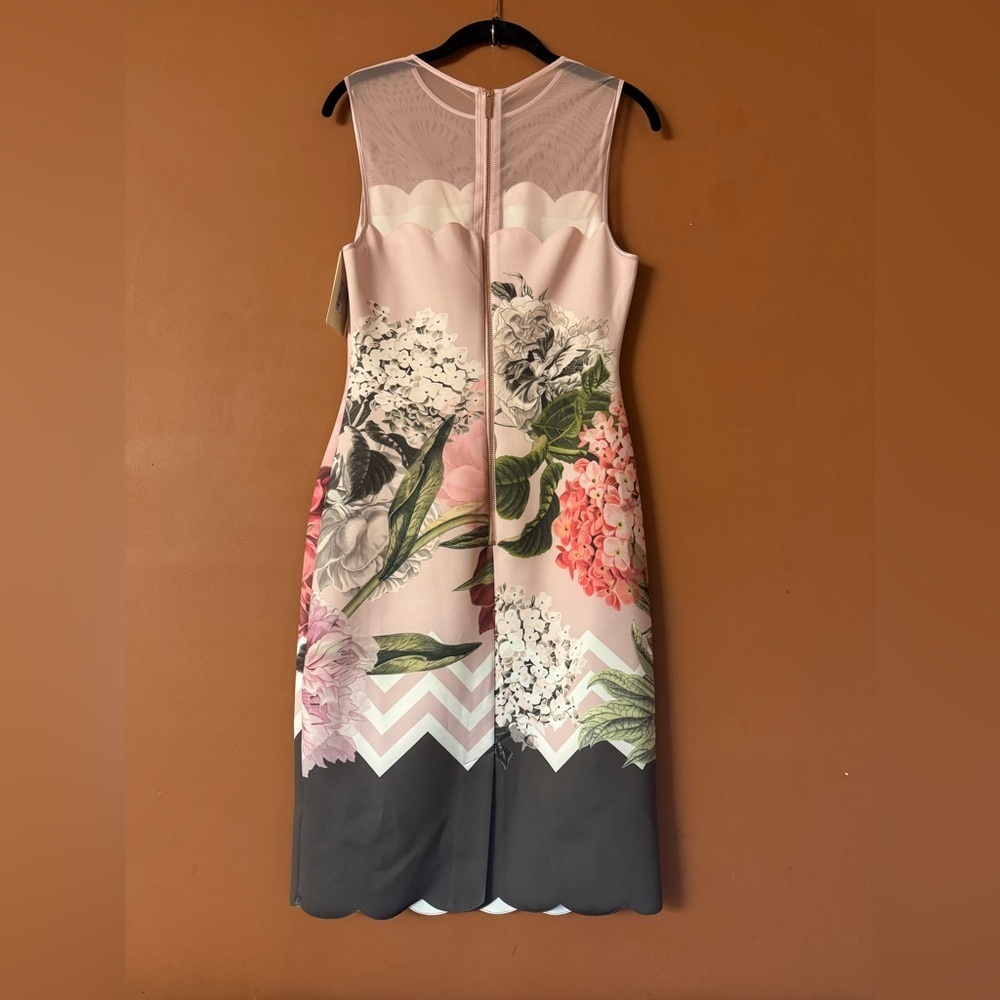 NWT TED BAKER  Arionah Palace Gardens Scallop Dusty Pink dress size 3, size US 8 - Picture 4 of 16